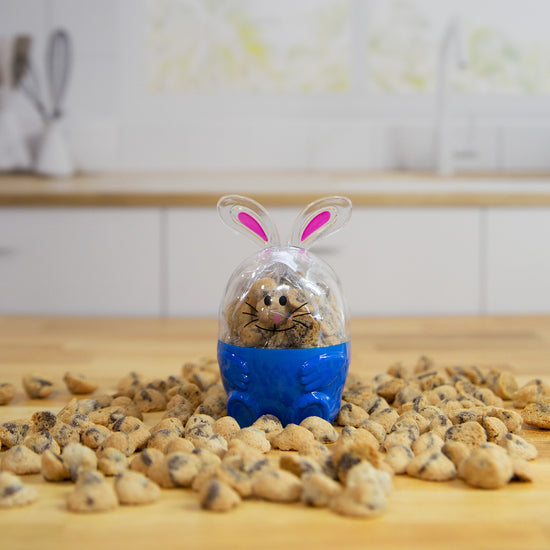 Blue Bunny Party Favor